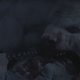 tuunbaq terror